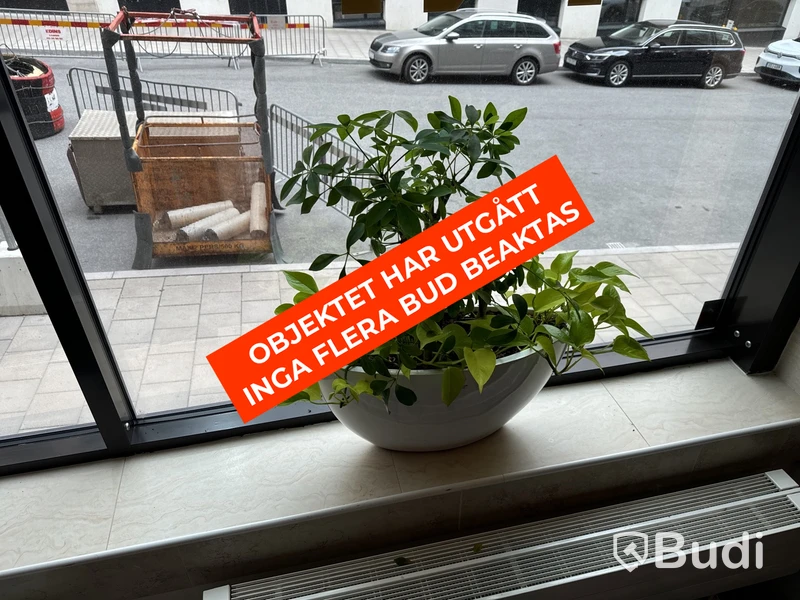 Parti med växter