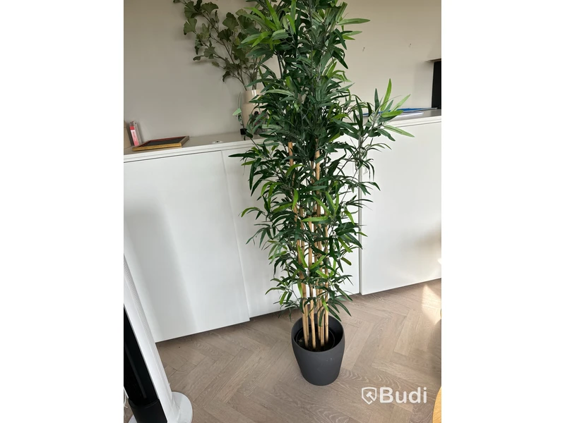 Plastblomma