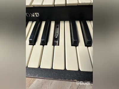 Orgel - Hammond Porta-B