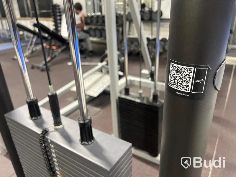Lat Pulley Maskin - TechnoGym