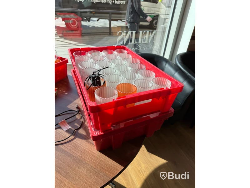 Glas och backar