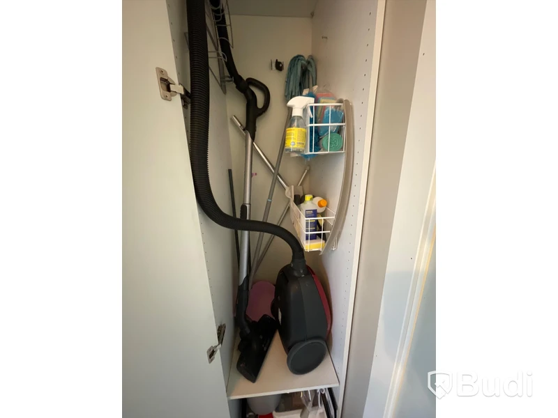 Dammsugare Electrolux ZN72