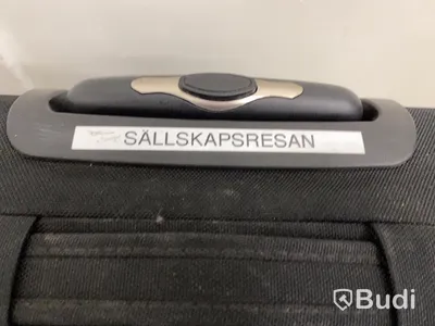 Tema sällskapsresan, Resväska Cavalet med maskeradkläder
