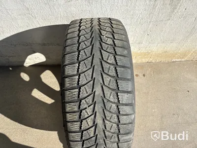 4 st. Däck på fälgar, Brigdestone Blizzak Nordic 225/55 R16 99R