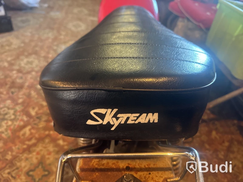 Minibike Skyteam