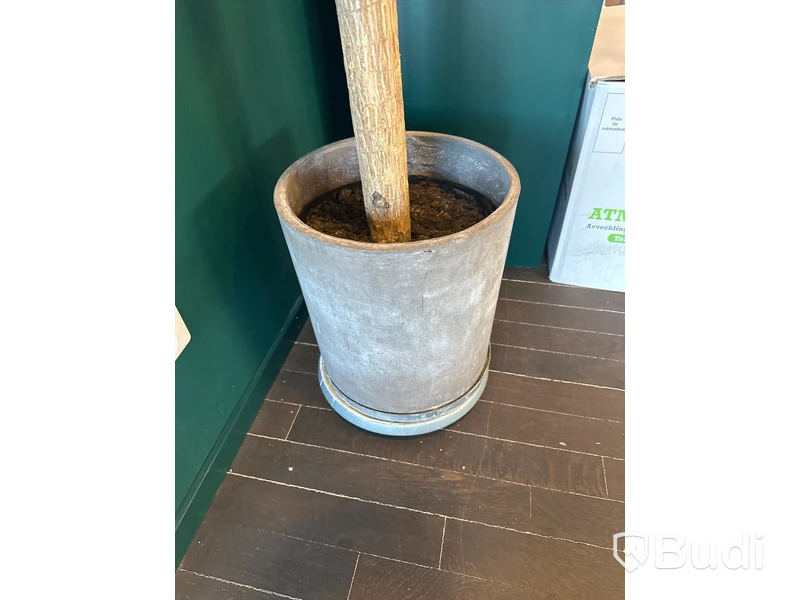 2 st. krukor med växter