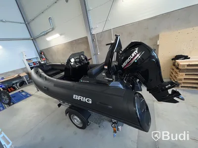 Brig Eagle 4 2022  inkl. Trailer