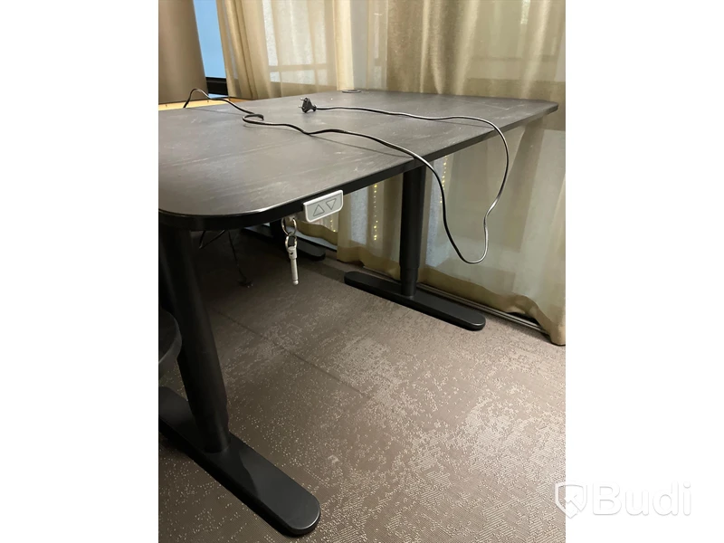 Elektriskt höj-och sänkbart skrivbord (120x80 cm)