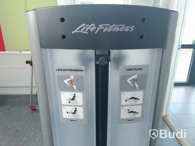 Life fitness benmaskin både extension och curl