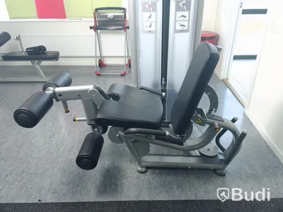 Life fitness benmaskin både extension och curl