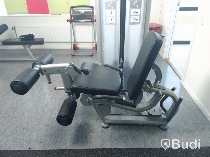 Life fitness benmaskin både extension och curl