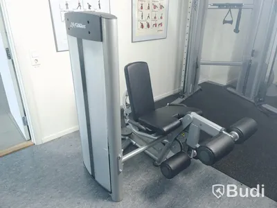 Life fitness benmaskin både extension och curl