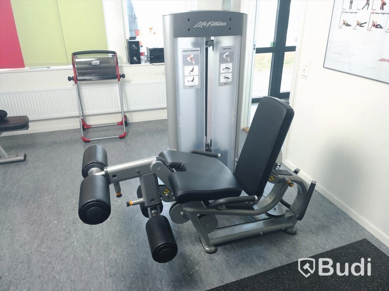 Life fitness benmaskin både extension och curl