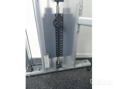 Life fitness reglerbar dragmaskin