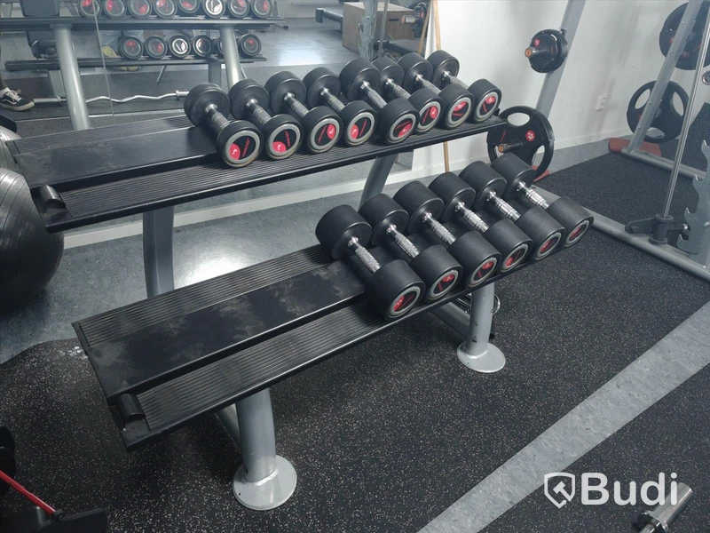Life fitness hantlar med ställ 7 par