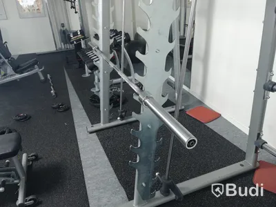 Life fitness smithmaskin inklusive lös skivstång