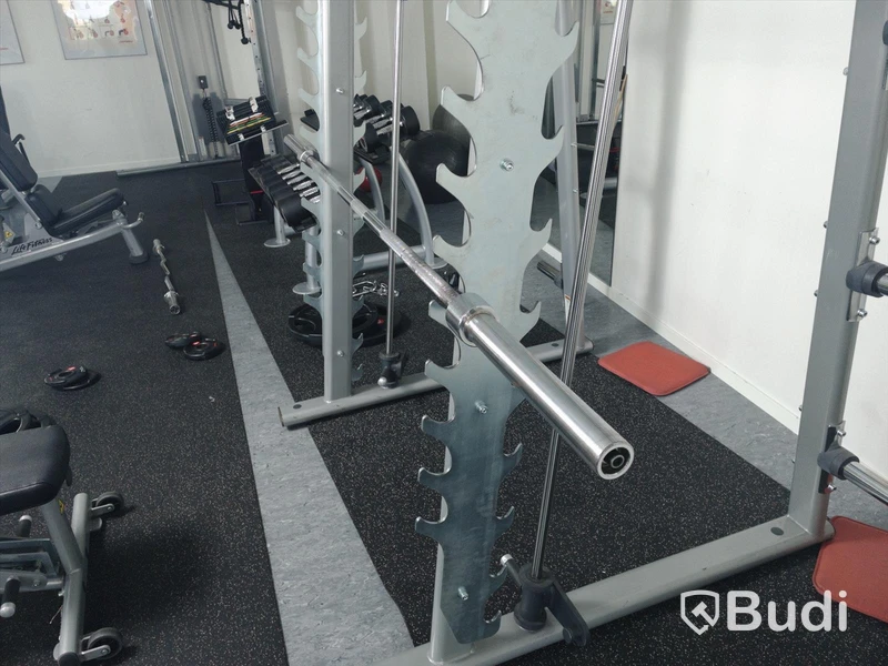 Life fitness smithmaskin inklusive lös skivstång