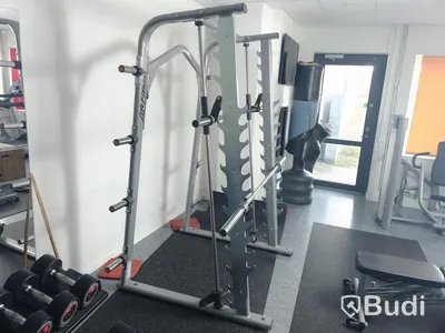 Life fitness smithmaskin inklusive lös skivstång