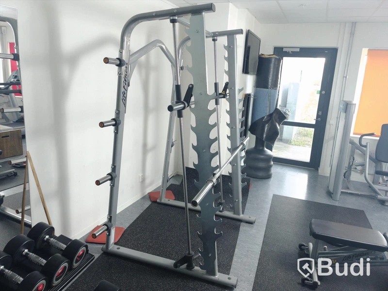 Life fitness smithmaskin inklusive lös skivstång