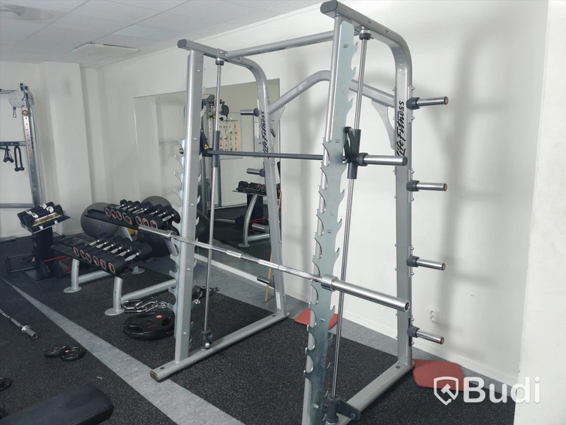 Life fitness smithmaskin inklusive lös skivstång
