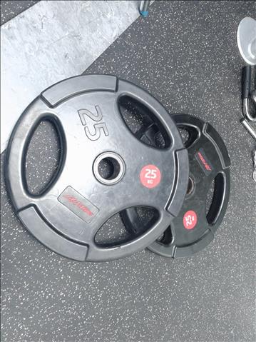 Lite fitness 2st skivstångsvikter 25 kg gummiklädda