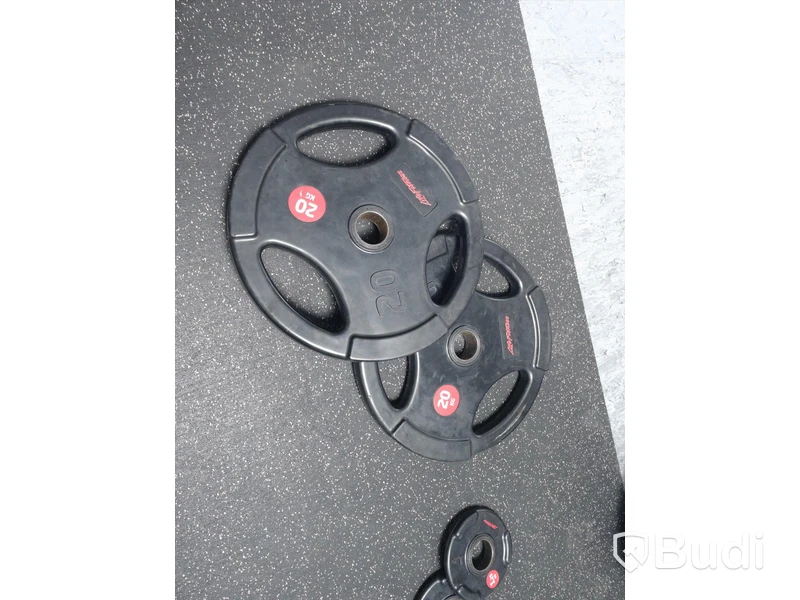 Lite fitness 2st skivstångsvikter 20 kg gummiklädda