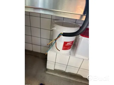 Brödrostc Antunes