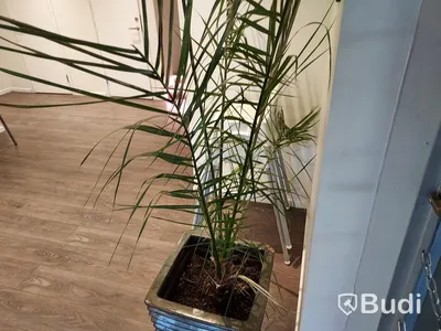 Restaurangmöbler samt utemöbler