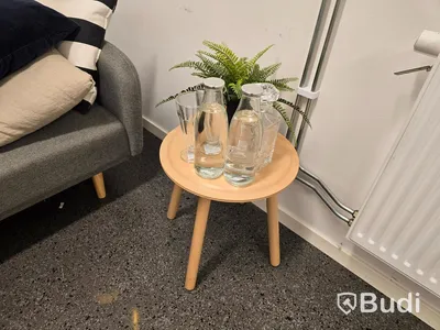 Bäddsoffa och div. möbler.