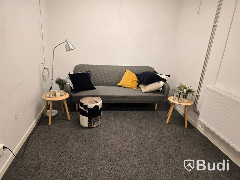 Bäddsoffa och div. möbler.