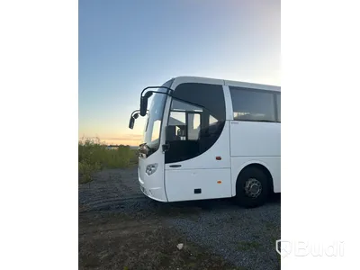Buss Scania Omniexpress M320L -2012 | EEV | 47-passagerare - EXPORT