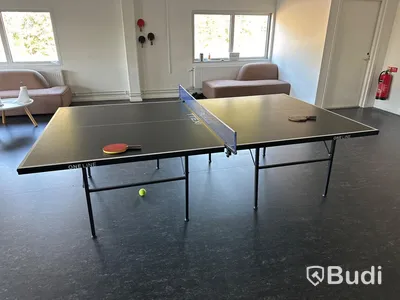 Pingisbord - TTEX One Line