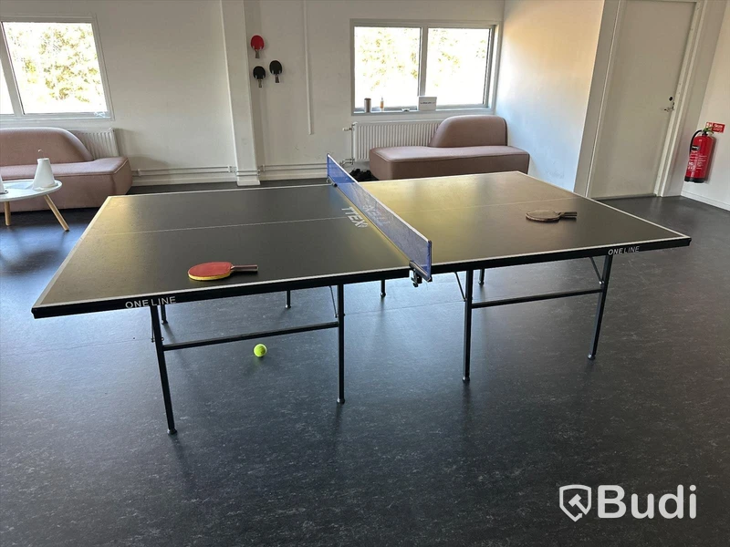 Pingisbord - TTEX One Line