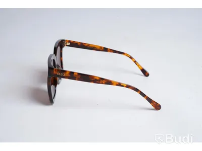 Solglasögon från CLEO EYEWEAR