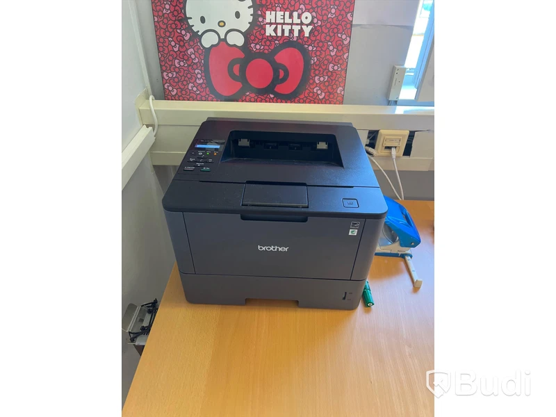 Skrivare Brother HL-L5100DN