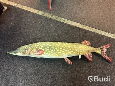 2 st gäddor Fladen ca 150 cm