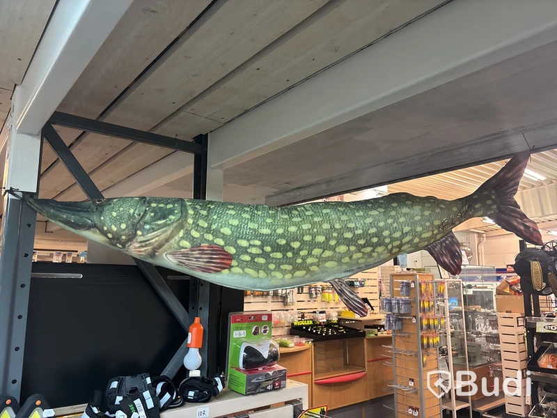 2 st gäddor Fladen ca 150 cm