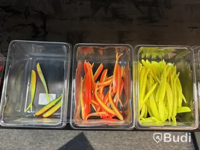 Parti gummibeten & kepsar inklusive ställ