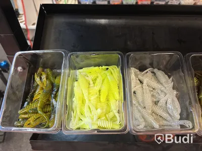 Parti gummibeten & kepsar inklusive ställ