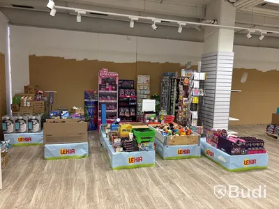 Parti leksaker, kort & utklädnad