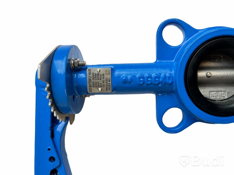 (Ny) Ego Butterfly valve, GGG40, DN80. 2.