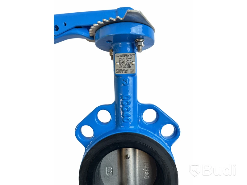 (Ny) Ego Butterfly valve, GGG40, DN80. 3.