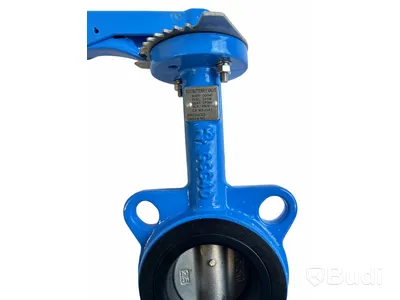 (Ny) Ego Butterfly valve, GGG40, DN80. 2,5,