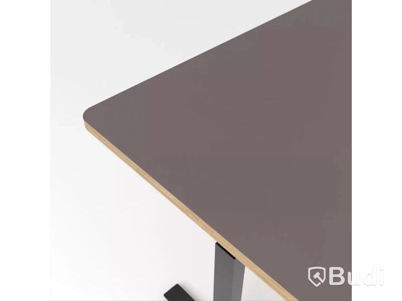 Höj- och sänkbart skrivbord Brizley Premium Plus, Mauve 4172