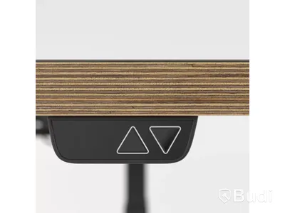 Höj- och sänkbart skrivbord Brizley Premium Plus, Mauve 4172
