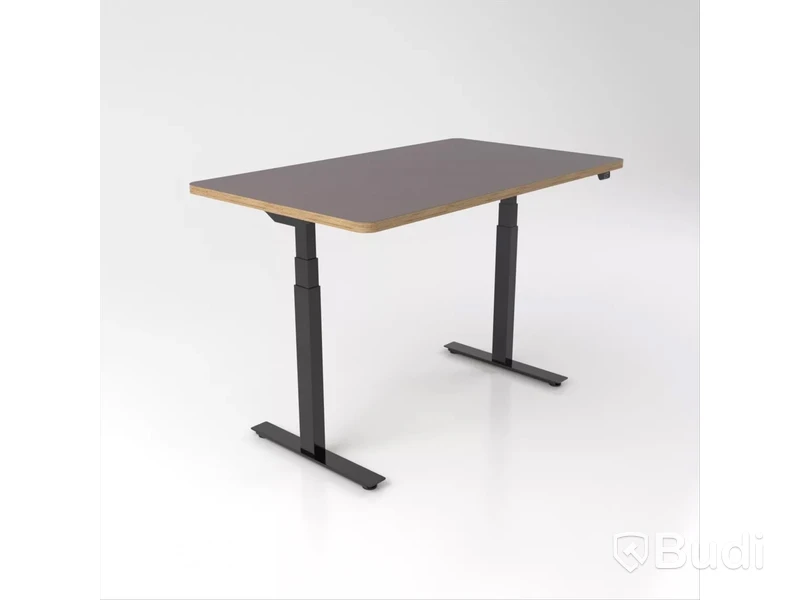 Höj- och sänkbart skrivbord Brizley Premium Plus, Mauve 4172