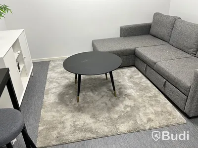 Bäddsoffa samt matta och soffbord samt skåp