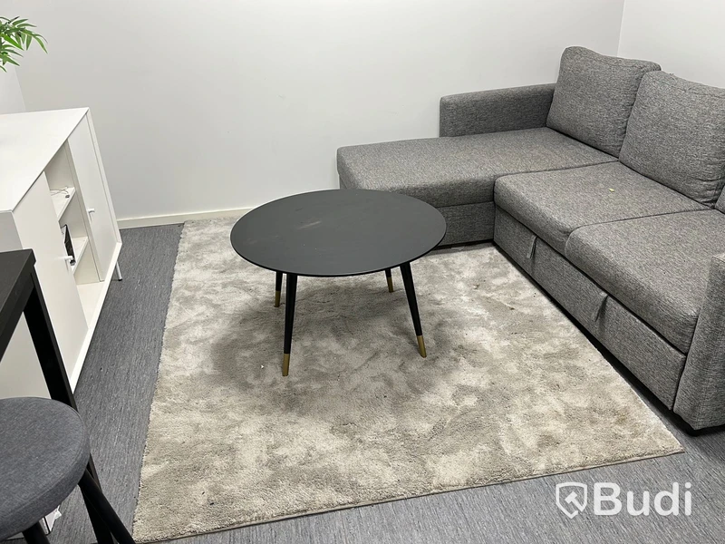 Bäddsoffa samt matta och soffbord samt skåp