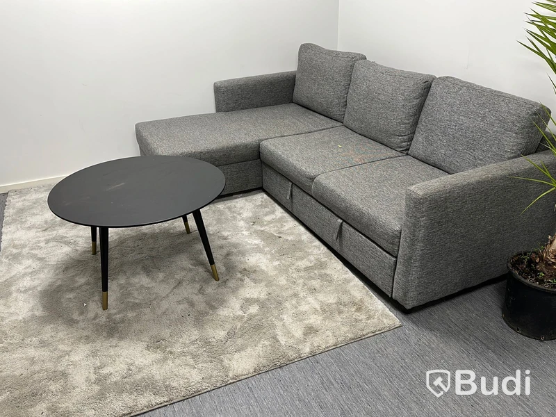 Bäddsoffa samt matta och soffbord samt skåp