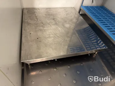 Kylrum Diamond Minicold Plus -2022